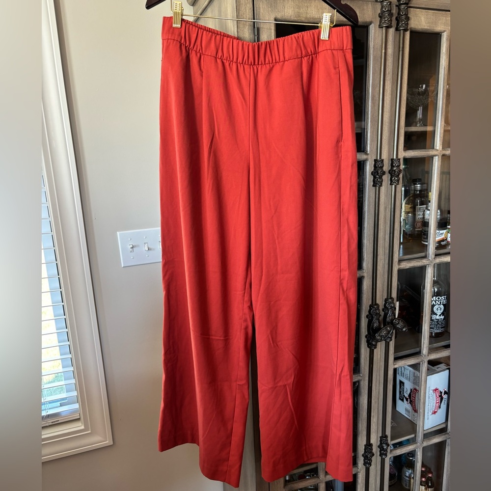 Ann Taylor Vibrant Red/Orange Pants